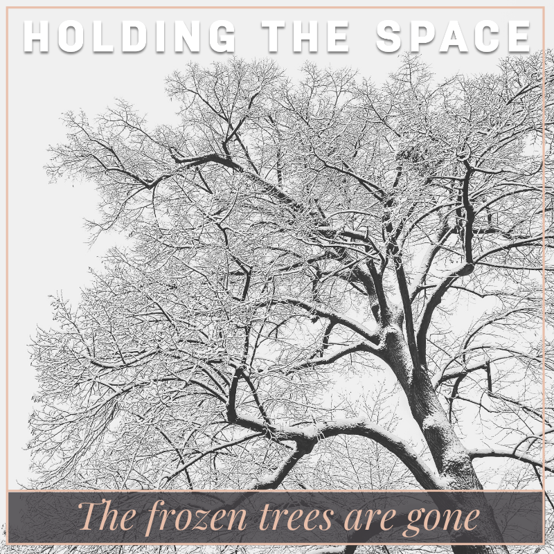 The frozen trees are gone